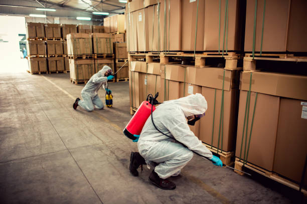 Best Cockroach Control Services  in Llano, TX