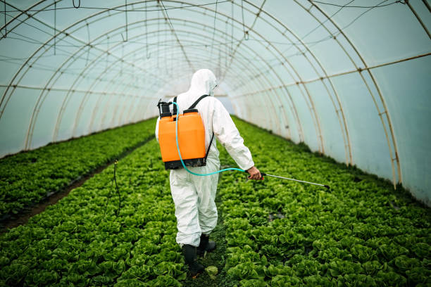 Best Pest Prevention Services  in Llano, TX