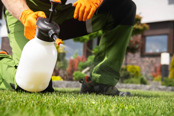Best Pest Removal Services  in Llano, TX