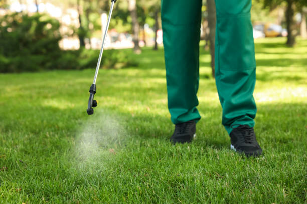 Best Insect Control  in Llano, TX