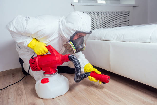 Best Exterminator Services  in Llano, TX