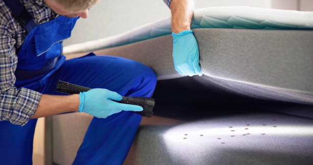 Best Bed Bug Extermination  in Llano, TX